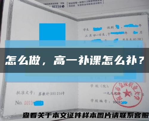 怎么做，高一补课怎么补？缩略图