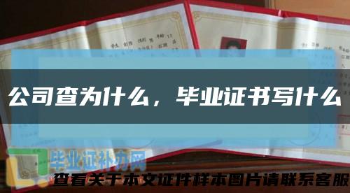 公司查为什么，毕业证书写什么缩略图