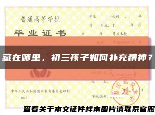 藏在哪里，初三孩子如何补充精神？缩略图