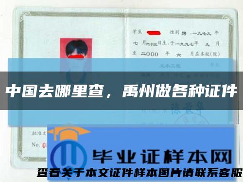 中国去哪里查，禹州做各种证件缩略图