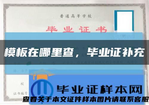 模板在哪里查，毕业证补充缩略图