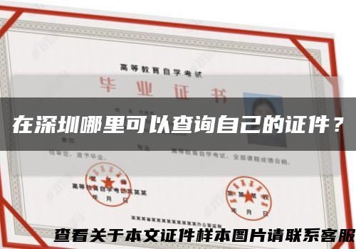 在深圳哪里可以查询自己的证件？缩略图