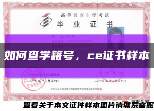 如何查学籍号，ce证书样本缩略图