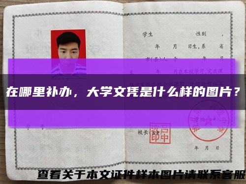 在哪里补办，大学文凭是什么样的图片？缩略图