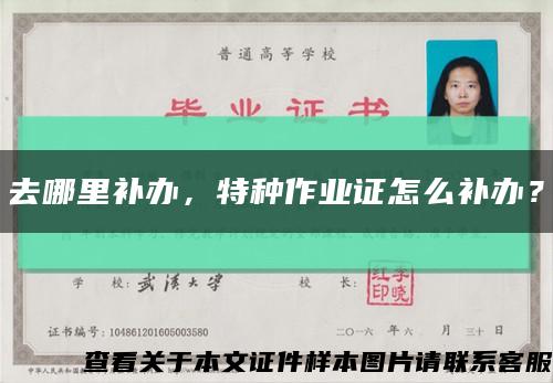 去哪里补办，特种作业证怎么补办？缩略图