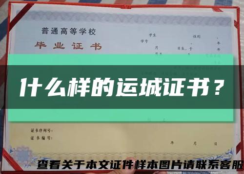什么样的运城证书？缩略图