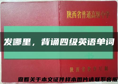发哪里，背诵四级英语单词缩略图