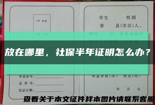 放在哪里，社保半年证明怎么办？缩略图