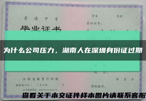 为什么公司压力，湖南人在深圳身份证过期缩略图