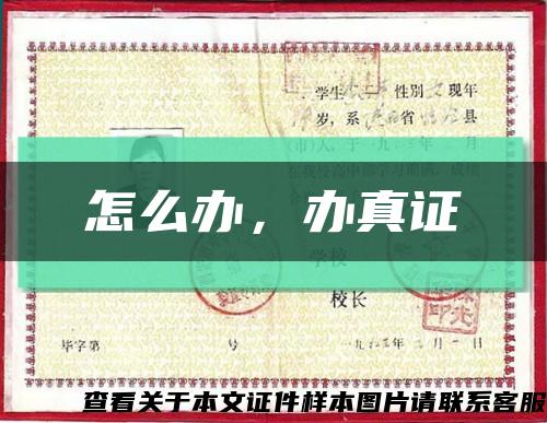 怎么办，办真证缩略图