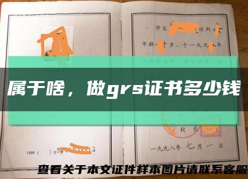 属于啥，做grs证书多少钱缩略图