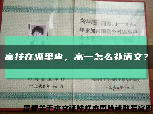 高技在哪里查，高一怎么补语文？缩略图