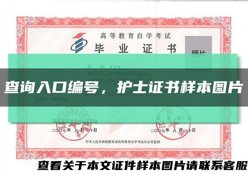 查询入口编号，护士证书样本图片缩略图