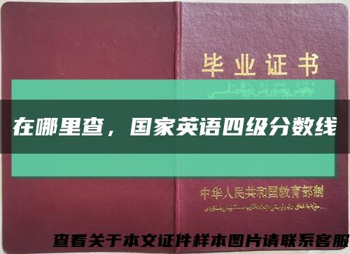在哪里查，国家英语四级分数线缩略图