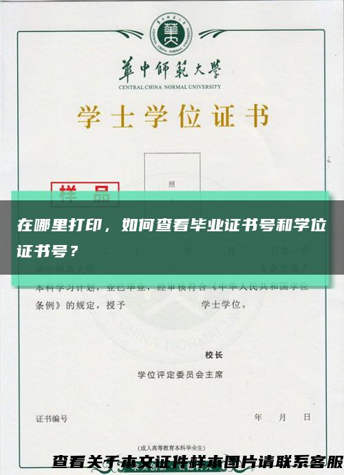 在哪里打印，如何查看毕业证书号和学位证书号？缩略图