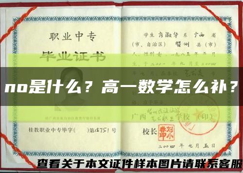 no是什么？高一数学怎么补？缩略图