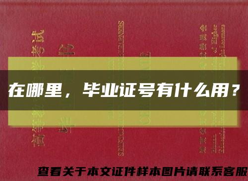在哪里，毕业证号有什么用？缩略图