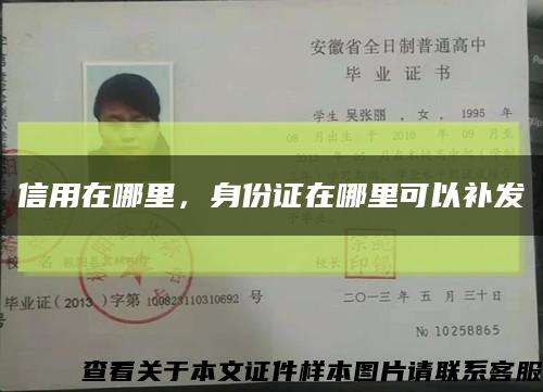 信用在哪里，身份证在哪里可以补发缩略图