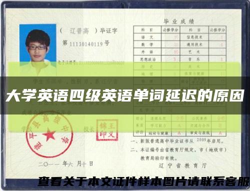 大学英语四级英语单词延迟的原因缩略图