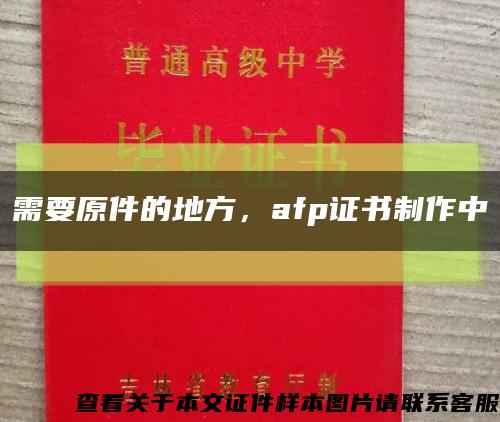 需要原件的地方，afp证书制作中缩略图