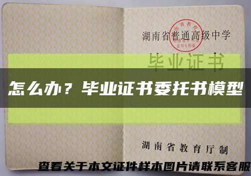 怎么办？毕业证书委托书模型缩略图