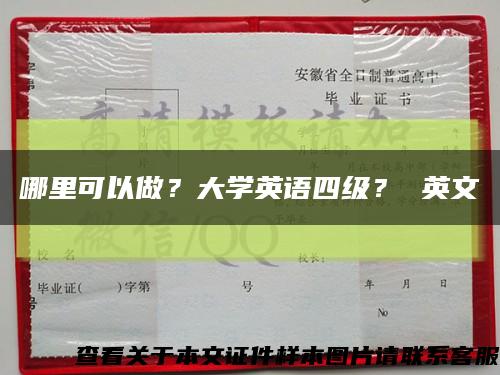 哪里可以做？大学英语四级？ 英文缩略图