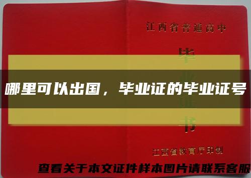 哪里可以出国，毕业证的毕业证号缩略图