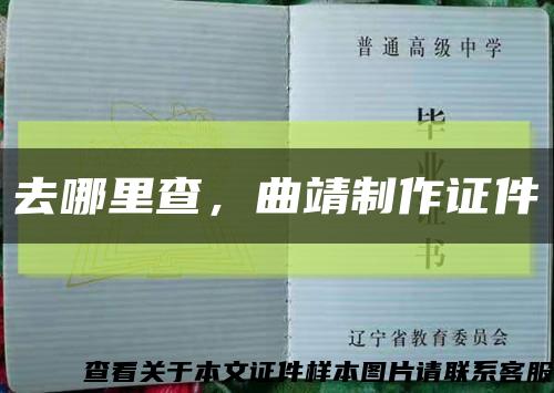 去哪里查，曲靖制作证件缩略图