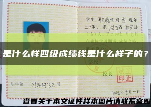 是什么样四级成绩线是什么样子的？缩略图