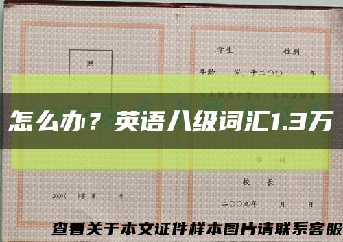 怎么办？英语八级词汇1.3万缩略图