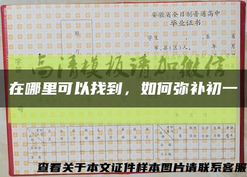 在哪里可以找到，如何弥补初一缩略图