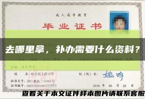 去哪里拿，补办需要什么资料？缩略图