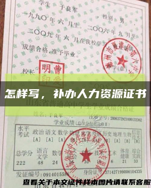 怎样写，补办人力资源证书缩略图