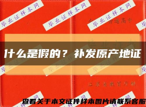 什么是假的？补发原产地证缩略图