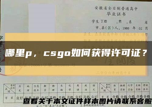 哪里p，csgo如何获得许可证？缩略图
