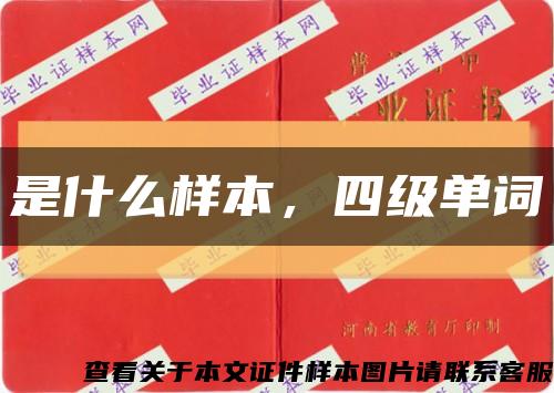 是什么样本，四级单词缩略图