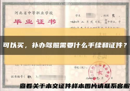 可以买，补办驾照需要什么手续和证件？缩略图