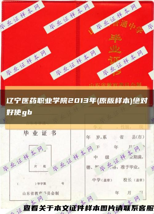 辽宁医药职业学院2013年(原版样本)绝对好使gb缩略图