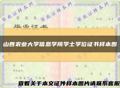 山西农业大学信息学院学士学位证书样本图缩略图