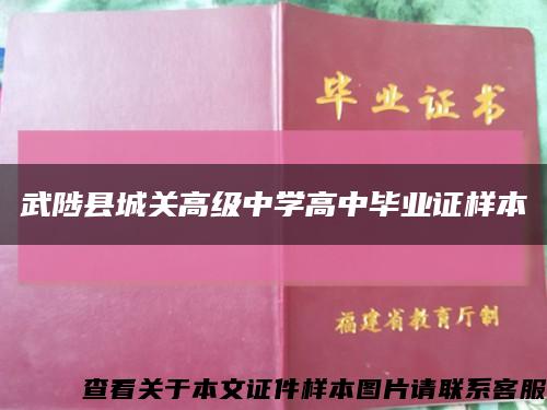 武陟县城关高级中学高中毕业证样本缩略图