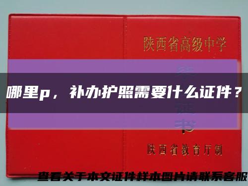 哪里p，补办护照需要什么证件？缩略图