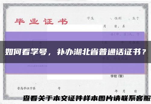 如何看学号，补办湖北省普通话证书？缩略图