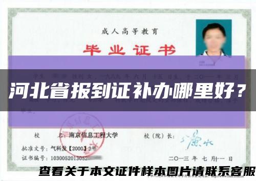 河北省报到证补办哪里好？缩略图