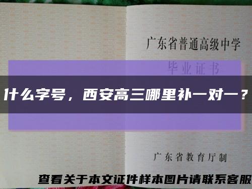 什么字号，西安高三哪里补一对一？缩略图