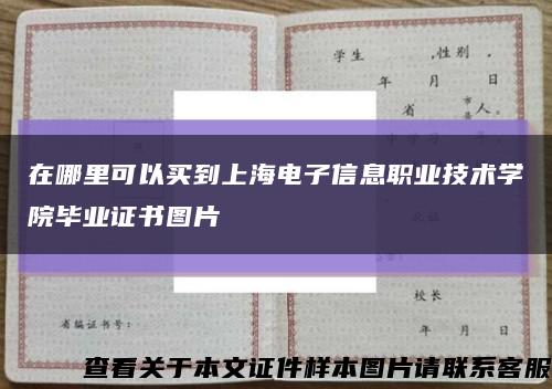在哪里可以买到上海电子信息职业技术学院毕业证书图片缩略图