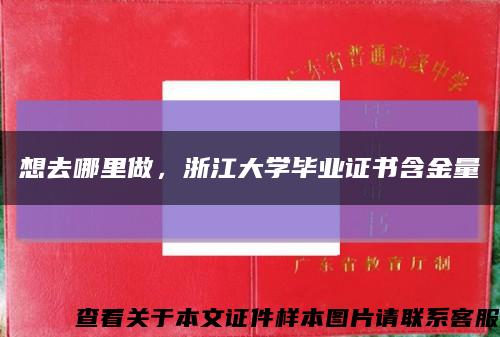 想去哪里做，浙江大学毕业证书含金量缩略图