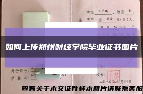 如何上传郑州财经学院毕业证书图片缩略图