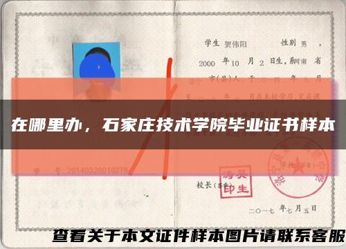 在哪里办，石家庄技术学院毕业证书样本缩略图