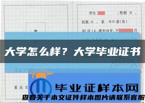大学怎么样？大学毕业证书缩略图