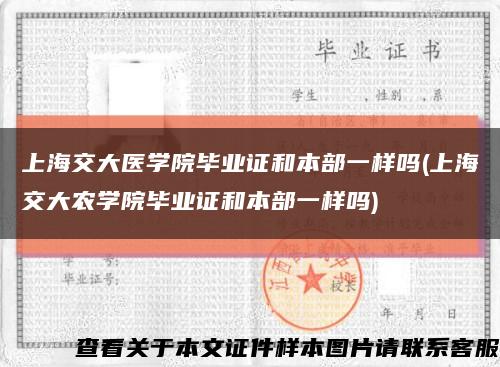 上海交大医学院毕业证和本部一样吗(上海交大农学院毕业证和本部一样吗)缩略图